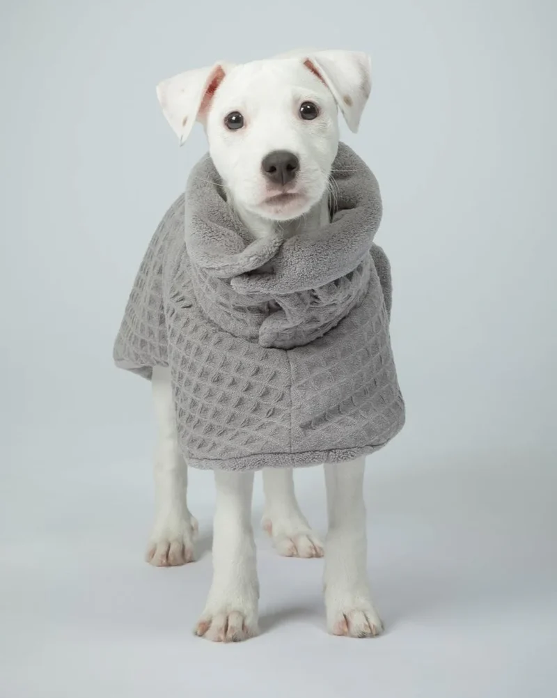PAIKKA Drying Coat Spa for Dogs
