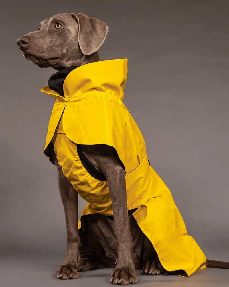 PAIKKA Raincoat Lite for Dogs - 100% Waterproof 40cm - Yellow
