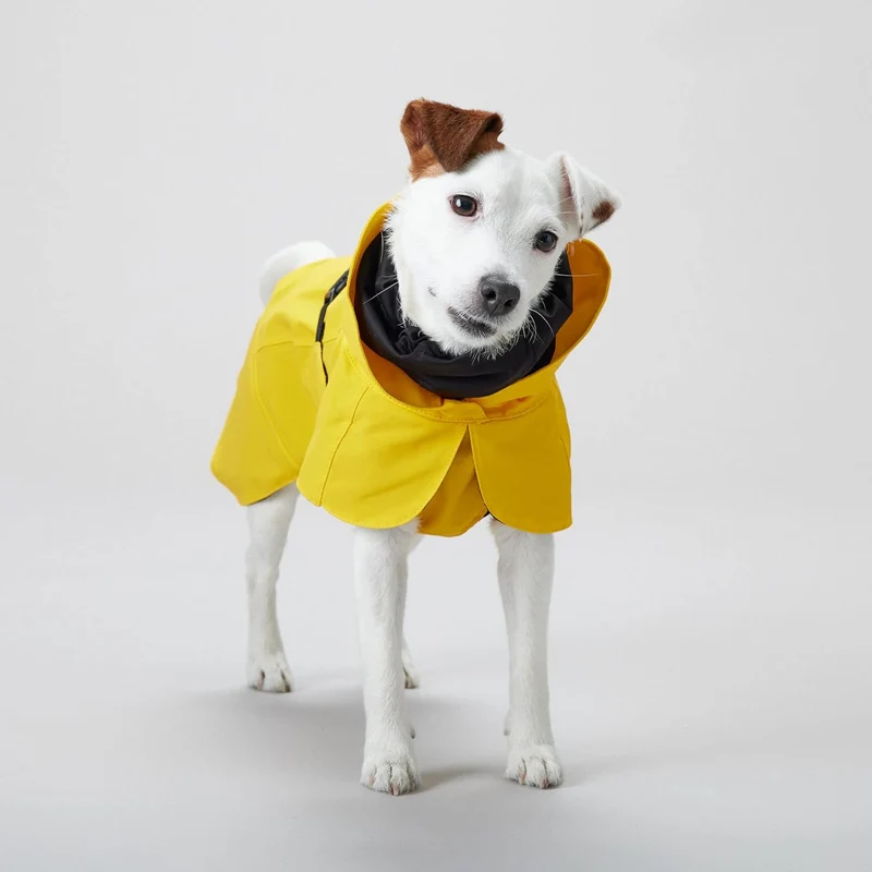 PAIKKA Raincoat Lite for Dogs - 100% Waterproof 40cm - Yellow