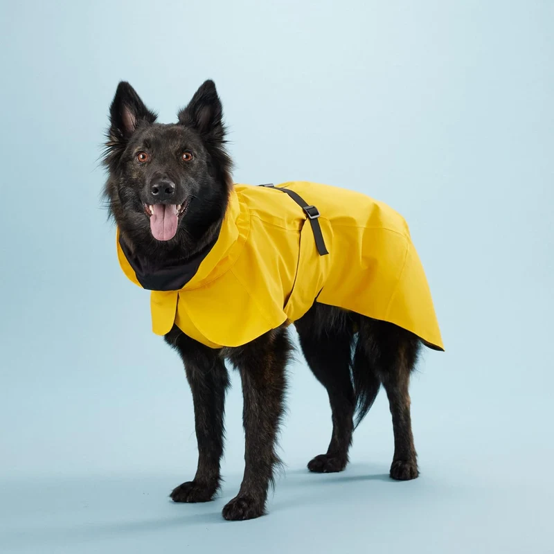 PAIKKA Raincoat Lite for Dogs - 100% Waterproof 40cm - Yellow